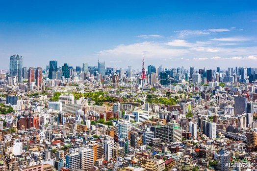 Picture of Tokyo Skyline
